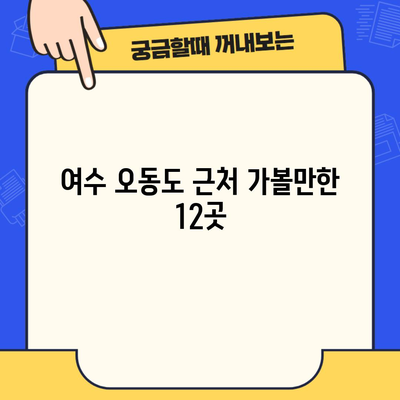 여수 오동도 근처 가볼만한 12곳