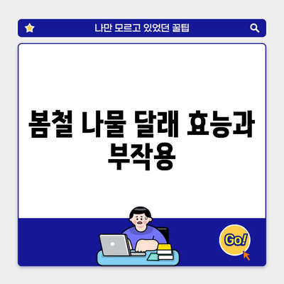 봄철 나물 달래 효능과 부작용