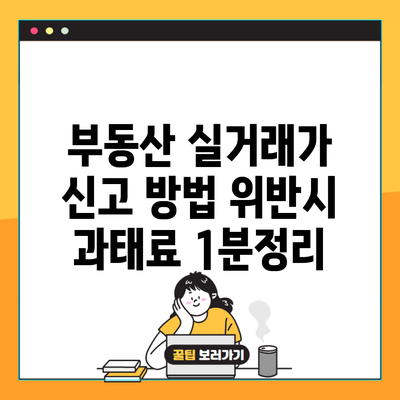 부동산 실거래가 신고 방법 위반시 과태료 1분정리