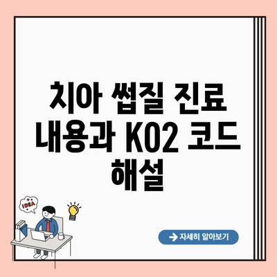 치아 썹질 진료 내용과 K02 코드 해설