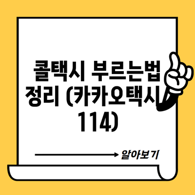 콜택시 부르는법 정리 (카카오택시/114)