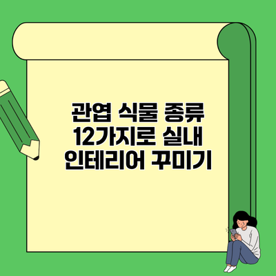 관엽 식물 종류 12가지로 실내 인테리어 꾸미기