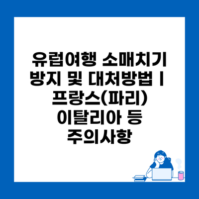 유럽여행 소매치기 방지 및 대처방법ㅣ프랑스(파리) 이탈리아 등 주의사항