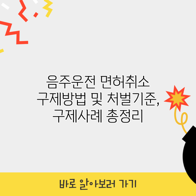 음주운전 면허취소 구제방법 및 처벌기준, 구제사례 총정리