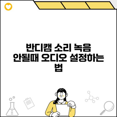 반디캠 소리 녹음 안될때 오디오 설정하는 법