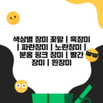  흰장미 