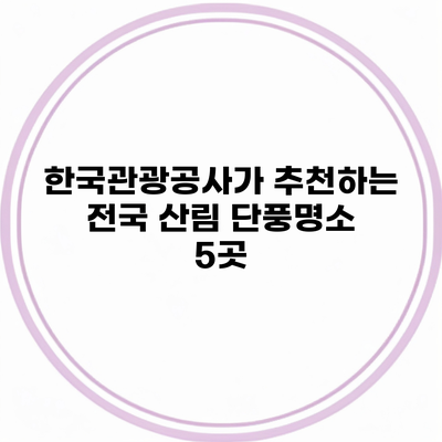 한국관광공사가 추천하는 전국 산림 단풍명소 5곳