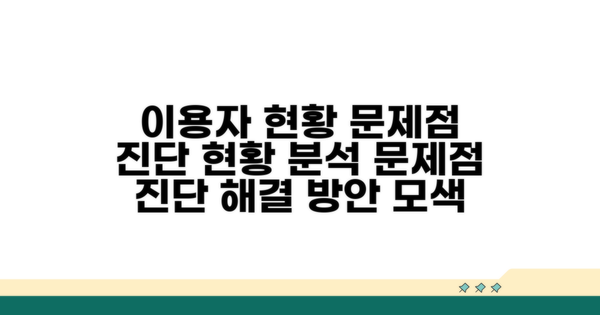 이용자 현황과 문제점 진단