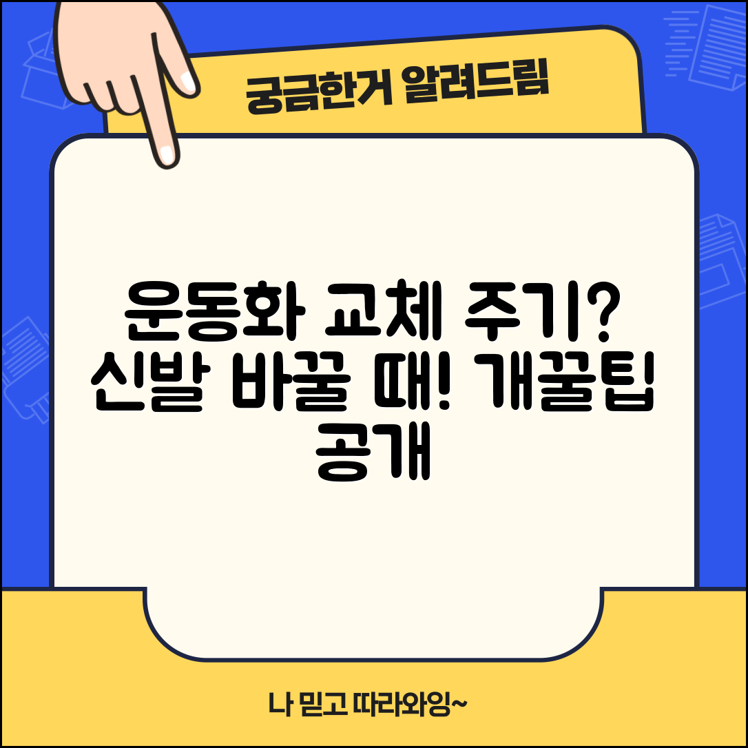 운동화 교체 주기 몇 개월마다 | 운동화 교체 시기