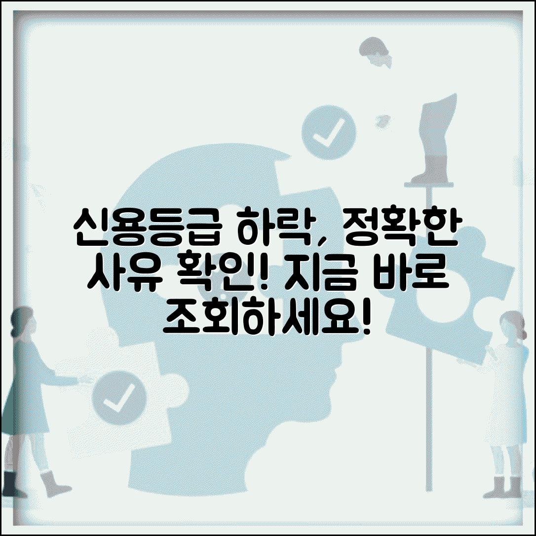 신용등급 하락 사유 구체적으로 알 수 있나요 | 등급하락사유 | 상세조회 | 확인방법