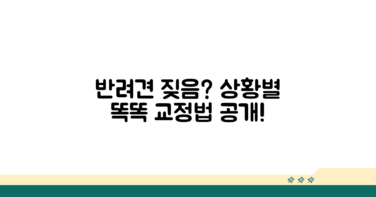 반려견 짖음, 상황별 똑똑한 교정법