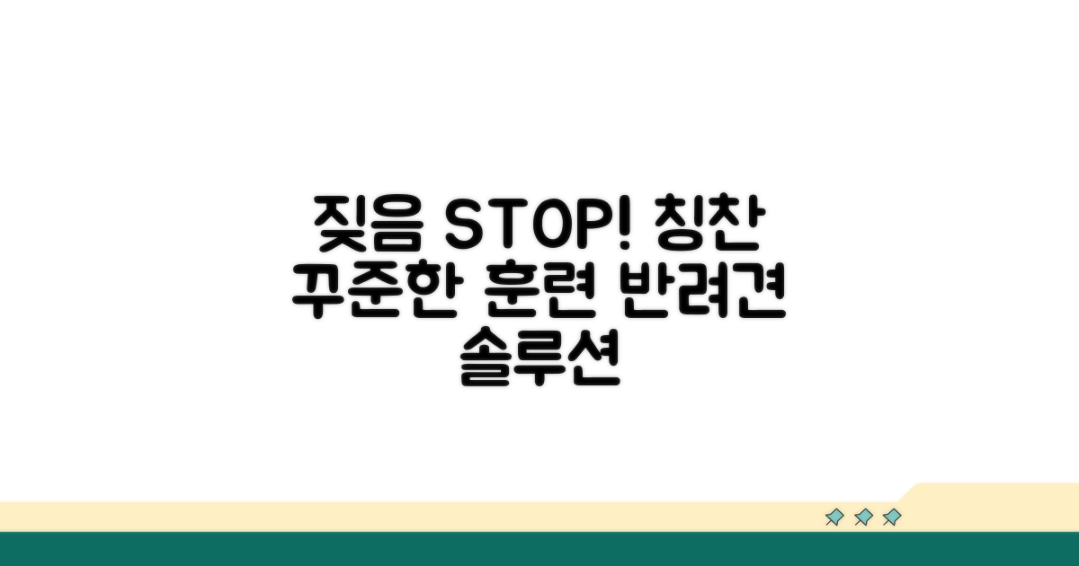 짖음 줄이는 꾸준한 관리와 칭찬