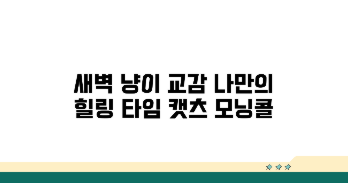 새벽 시간, 냥이와 교감하기