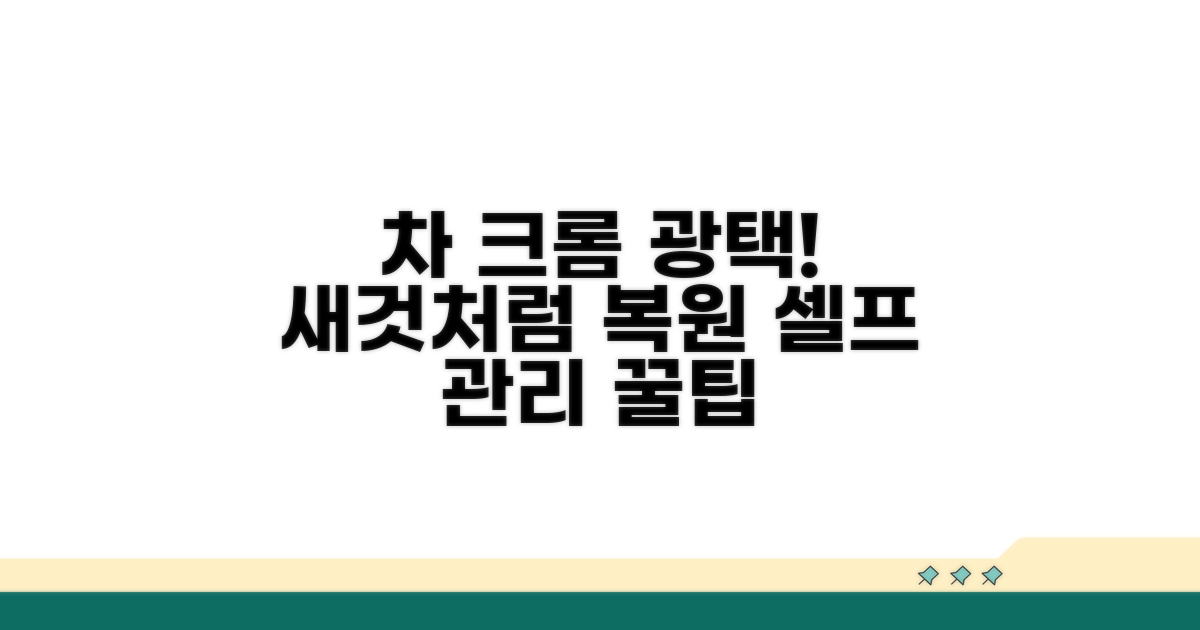셀프 관리로 차 크롬 새것처럼