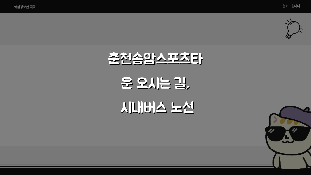 춘천송암스포츠타운 오시는 길, 시내버스 노선별 정류장 위치 완벽 분석