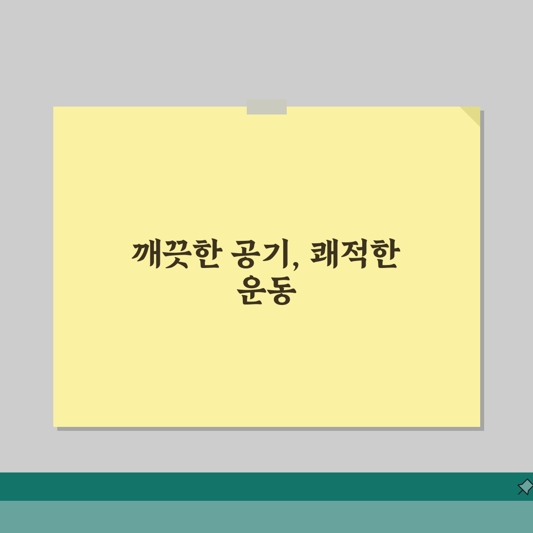 과천시민체육관 2026 시설안내 | 실내체육관 공기순환 개선 꿀팁 공유해요!