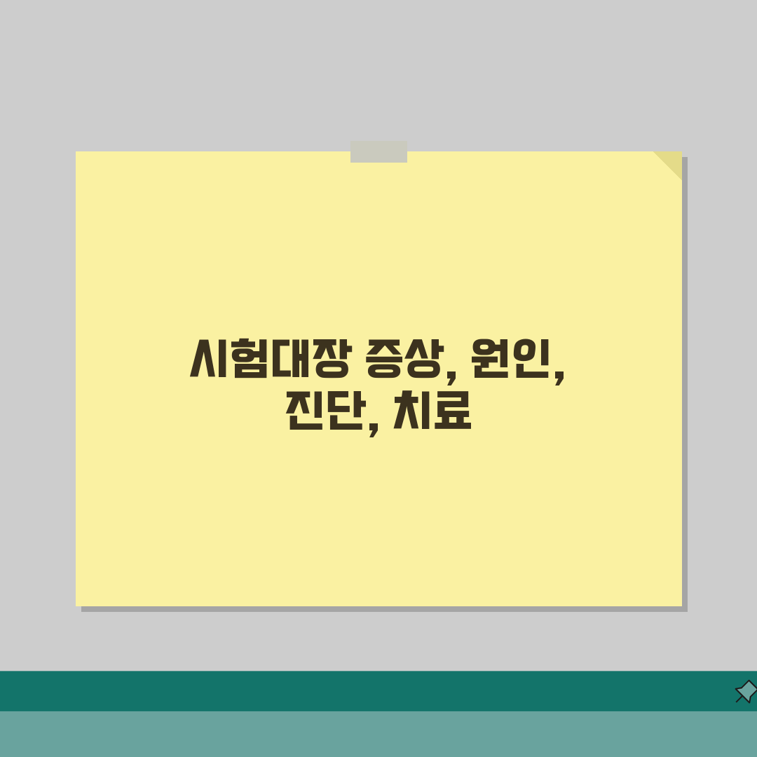 시험대장 증상 및 원인 | 진단 방법과 치료법 | 일상생활 관리 수칙 A to Z: 7가지