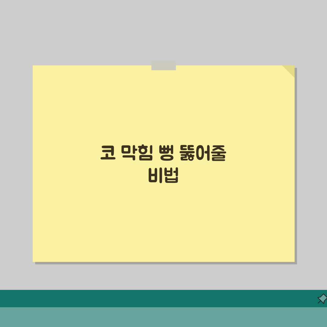 코가 막힐때 대처법 비염 완화 | 코막힘 즉시 뚫는 5가지 식염수 세척과 혈관수축제 완벽가