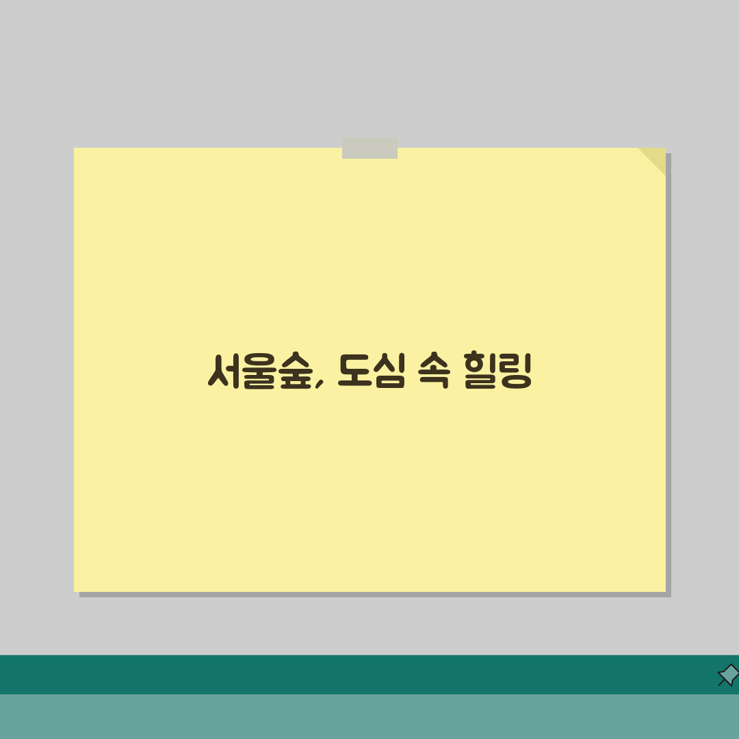 서울숲공원 이용 가이드 | 구역별 특징과 추천 활동 완벽가이드: 5가지 매력 총정리
