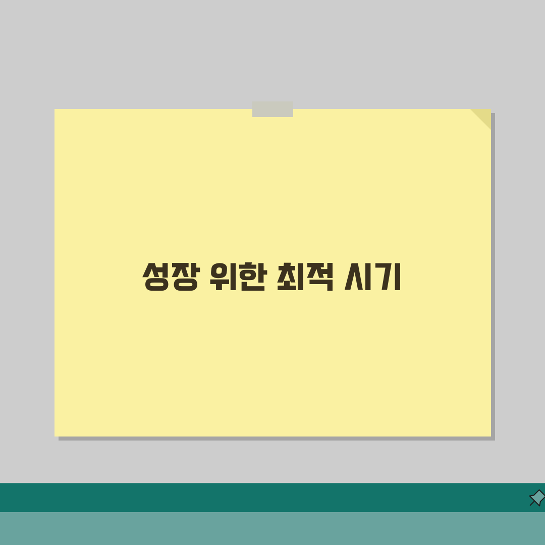 선인장 분갈이 시기 언제 하는지 | 선인장 화분 교체 적정 시기: 5가지 징후 총정리