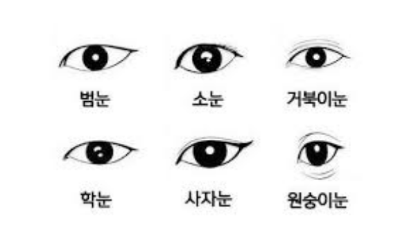 눈 관상을 살펴보는 사람의 눈매 클로즈업