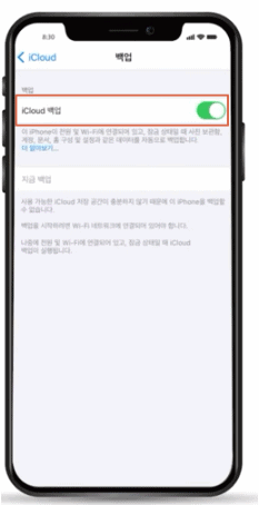 iCloud 백업 메뉴에서 지금 백업 실행