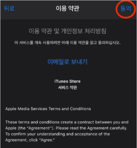 영문 이용 약관 동의 화면